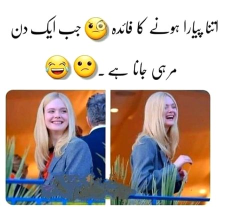 Memes & Satire image