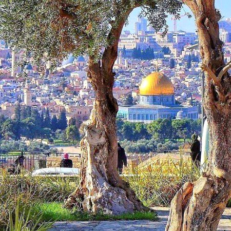 Beautiful Structures image