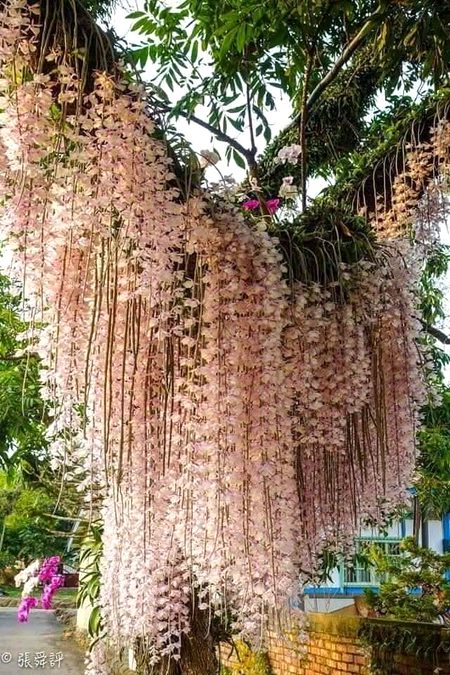 Beautiful Nature image