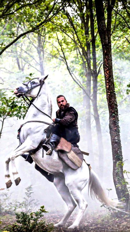 Turkish Celebs image