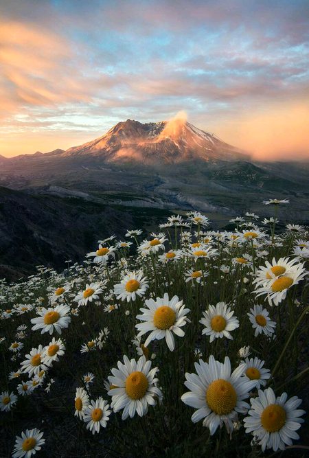 Beautiful Nature image