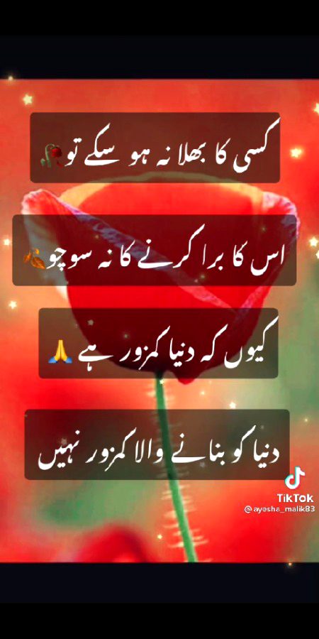 Assalamu alikum doston