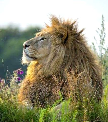 Beautiful Nature image