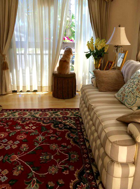 Beautiful Structures image