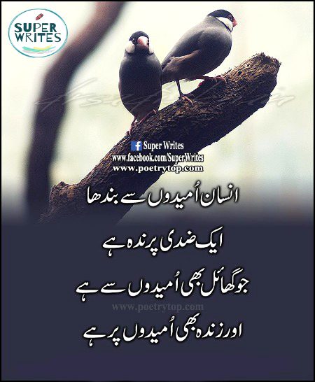 Life Advice image