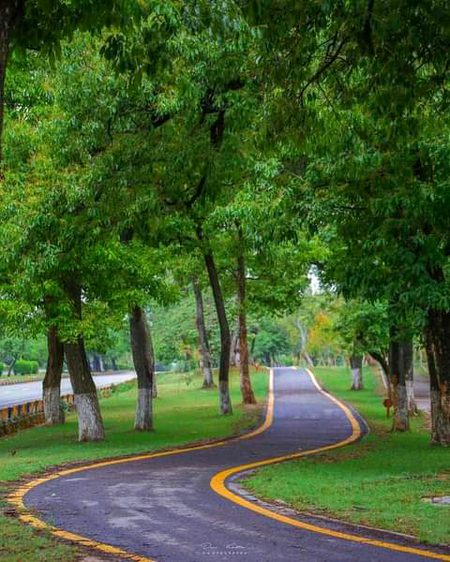 Beautiful Nature image