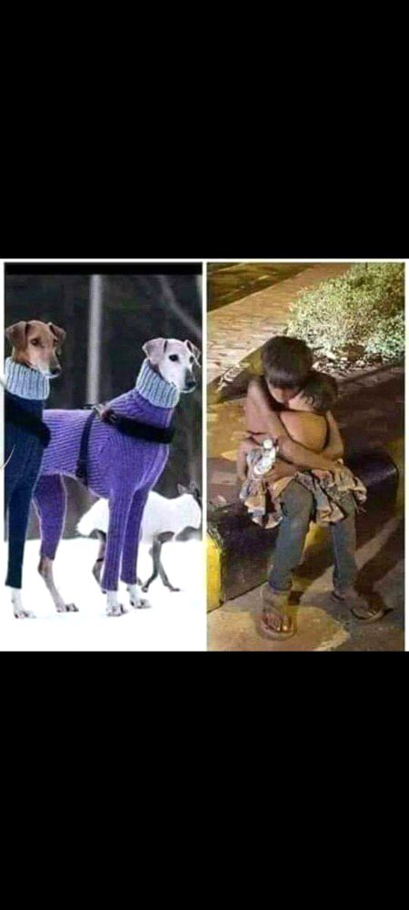 عجیب رسم ہے چارہ گروں کے محفل کی 
لگا کر زخم نمک سے مساج کرتے ہیں۔🙄
غریب شہر ترستا ہے اک نوالے کو 
امیر شہر کے کتے بھی راج کرتے ہیں۔۔۔😢😢