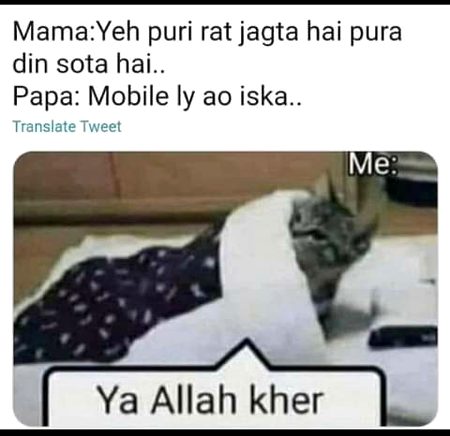 Memes & Satire image