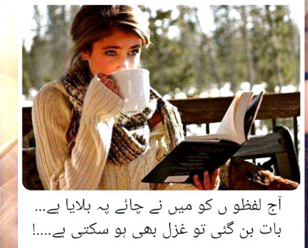 تاریخ میں قصے تو حسنِ یوسف کے ہیں پھر یہ بنتِ حوا کس بات پہ اتراتی ہے