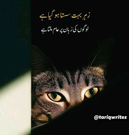 Attitude Quotes image