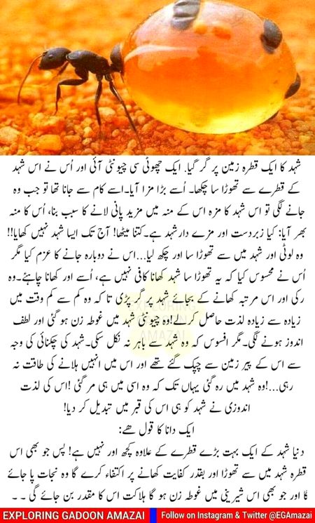 🖤💜🖤💜❤️🖤💜