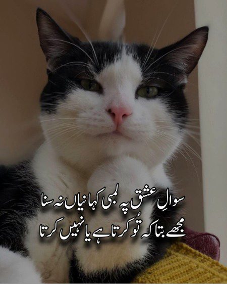 Attitude Poetry image