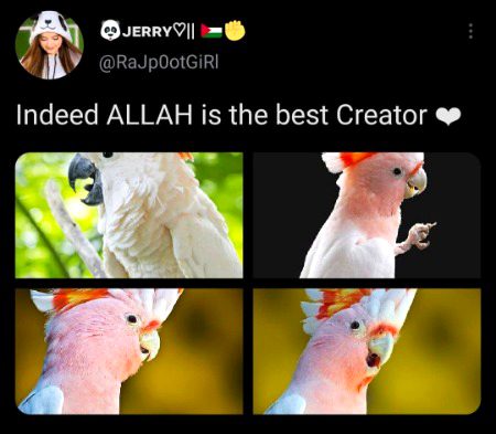 Beautiful Nature image