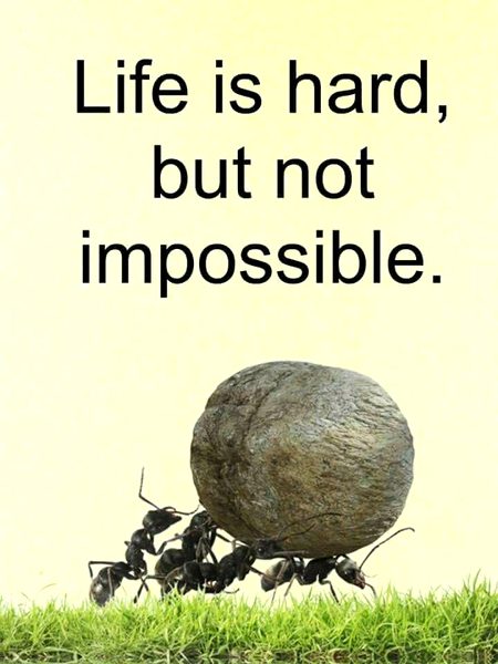 Life Advice image