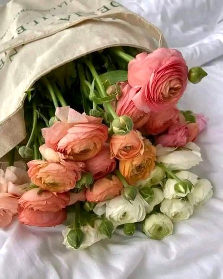 Beautiful Nature image