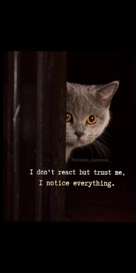 Attitude Quotes image