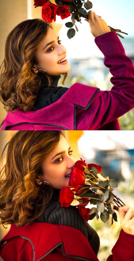 Pakistani Celebs image