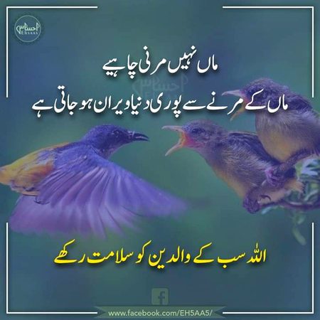 Ameen. Dua for all....