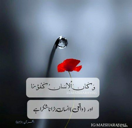 Islamic Quotes image