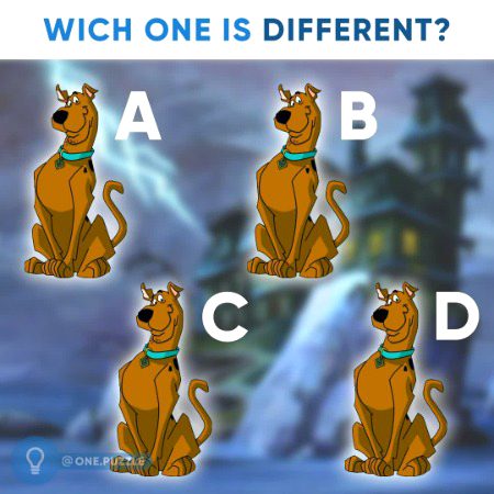 Riddles & Puzzles image