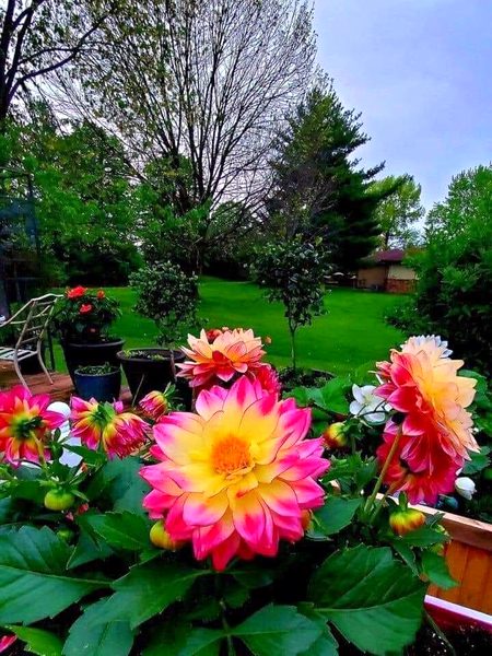 Beautiful Nature image