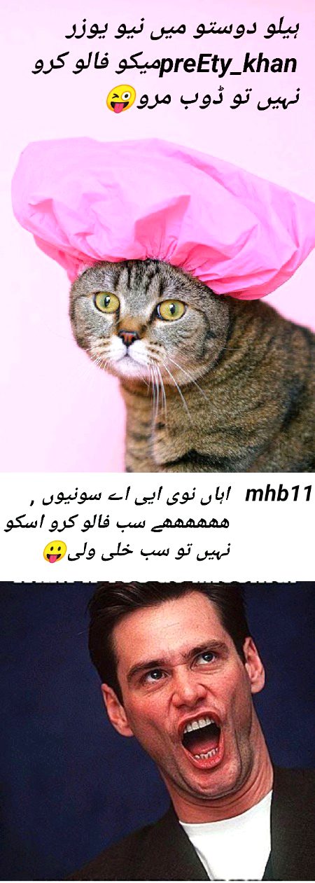 Damadam Roasting image