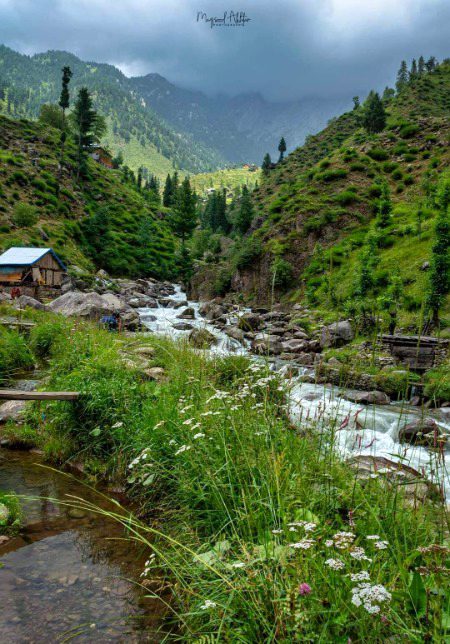 Beautiful Nature image