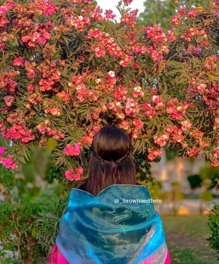 Beautiful Nature image