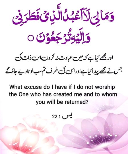 Islamic Quotes image