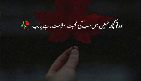 ❤💚💜❤💚💜❤💚💜