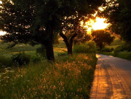 Beautiful Nature image