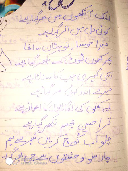 Sad Poetry image