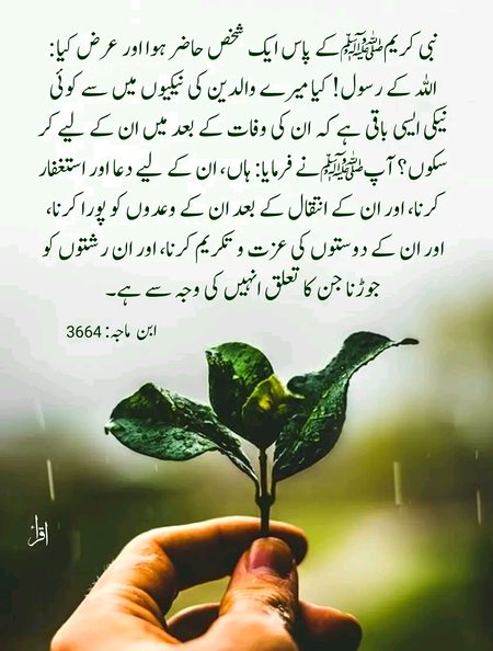 Islamic Quotes image