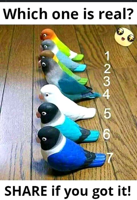 Riddles & Puzzles image