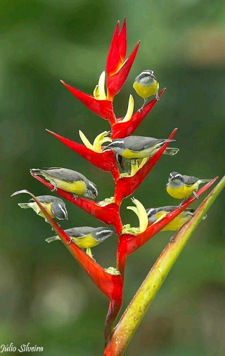 Beautiful Nature image