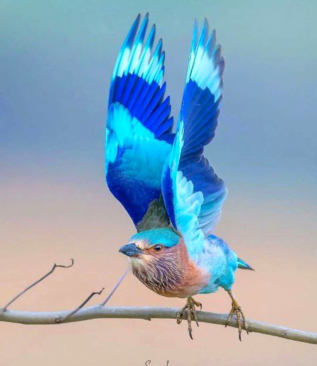 Beautiful Nature image