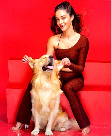 Indian Celebs image