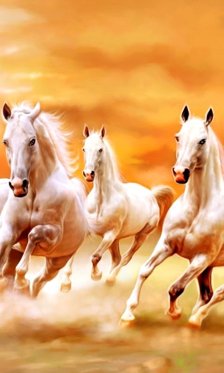 Beautiful Nature image