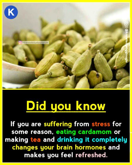 Health & Beauty image