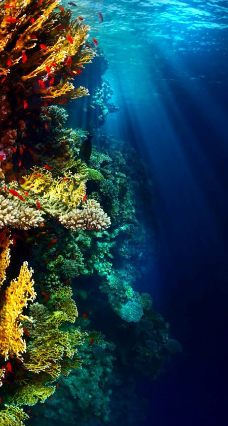 Beautiful Nature image