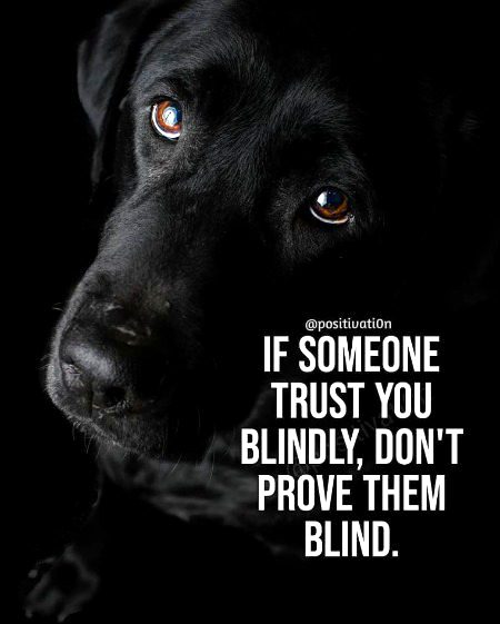 Life Advice image