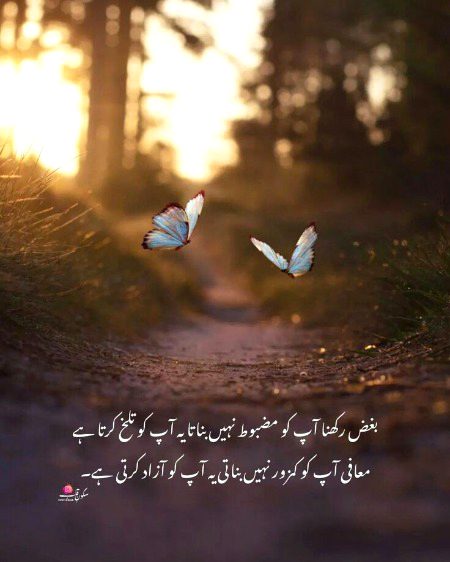 Motivational Quotes image