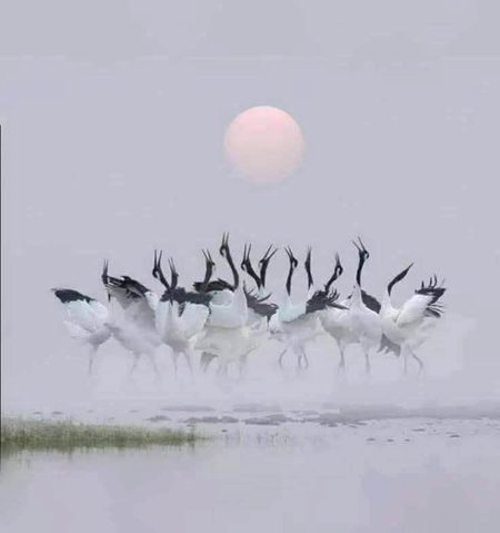 پوری کائنات سکون میں ہے، سارے مخلوقات کائنات کے دھن پر رقص کرتی پھر رہی ہے۔
نہ کوئی ضد کر رہا ہے، نہ کوئی پریشان ہے، نہ کوئی جلدی میں ہے
 سوائے انسان کے..