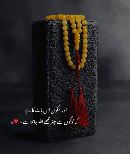 Attitude Quotes image