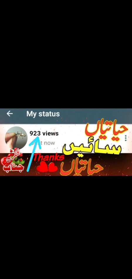 Nawab bhai👆👆👆👆