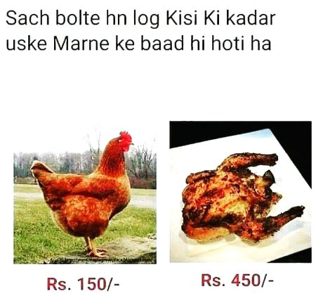Memes & Satire image