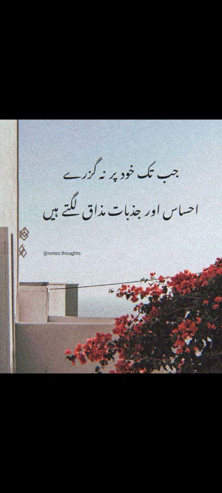 Salam to All