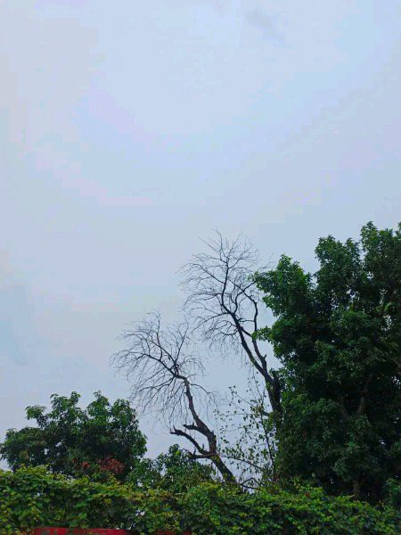 Beautiful Nature image