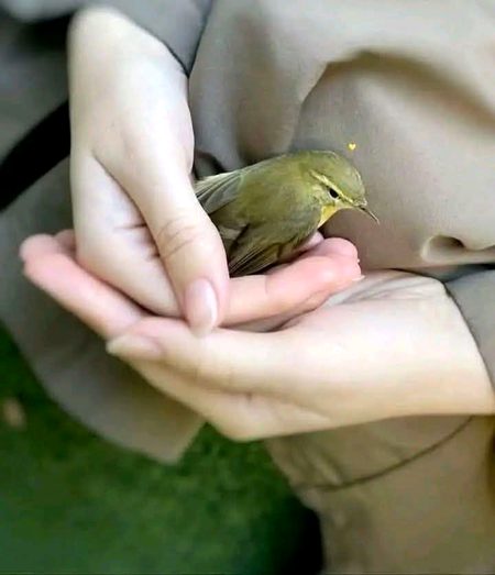 خود کے سوا سب ہی دوسرے ہوتے ہیں"__🖤