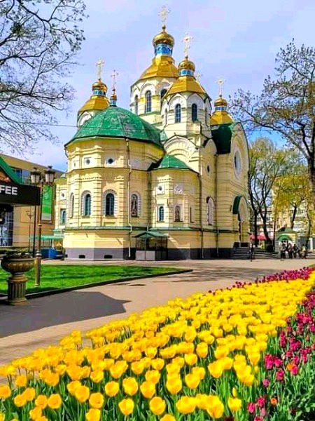 Beautiful Structures image